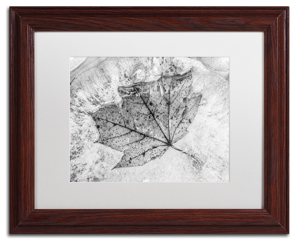 Jason Shaffer 'Encased in Ice' Matted Framed Art, Wood Frame, White Mat, 14x11