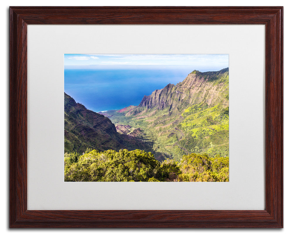 Pierre Leclerc 'Kalalau Valley' Matted Framed Art, Wood Frame, White, 20x16