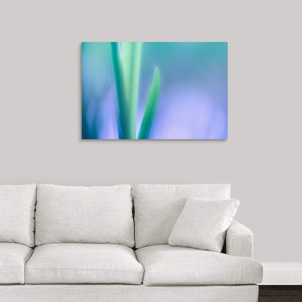 "Lily Leaves" Wrapped Canvas Art Print, 36"x24"x1.5"