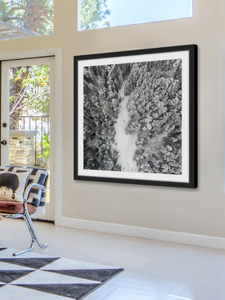 "Path Among Giants" Framed Print by Karolis Janulis