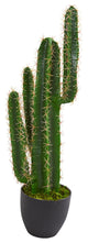 3' Cactus Artificial Plant