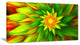 Amazing Dance of Green Petals, Floral Canvas Art Print, 32"x16"