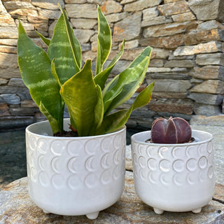 6In & 4.75In Small Moon Phase Footed Planter,Set Of 2, Ivory