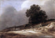 Pieter De Molyn Dunes Wall Decal