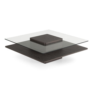 Modrest Clarion Modern Gray Elm and Glass Coffee Table