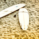 "Surf's Up One" Paper, 30"x30"