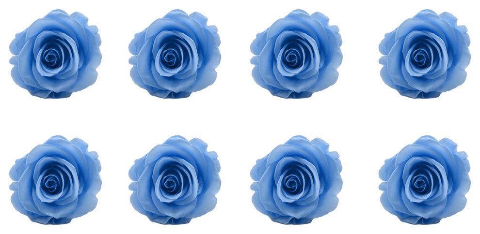 Regular Preserved Roses, Set of 8, Baby Blue