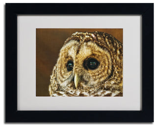 'Barred Owl Portrait' Matted Framed Canvas Art by Lois Bryan