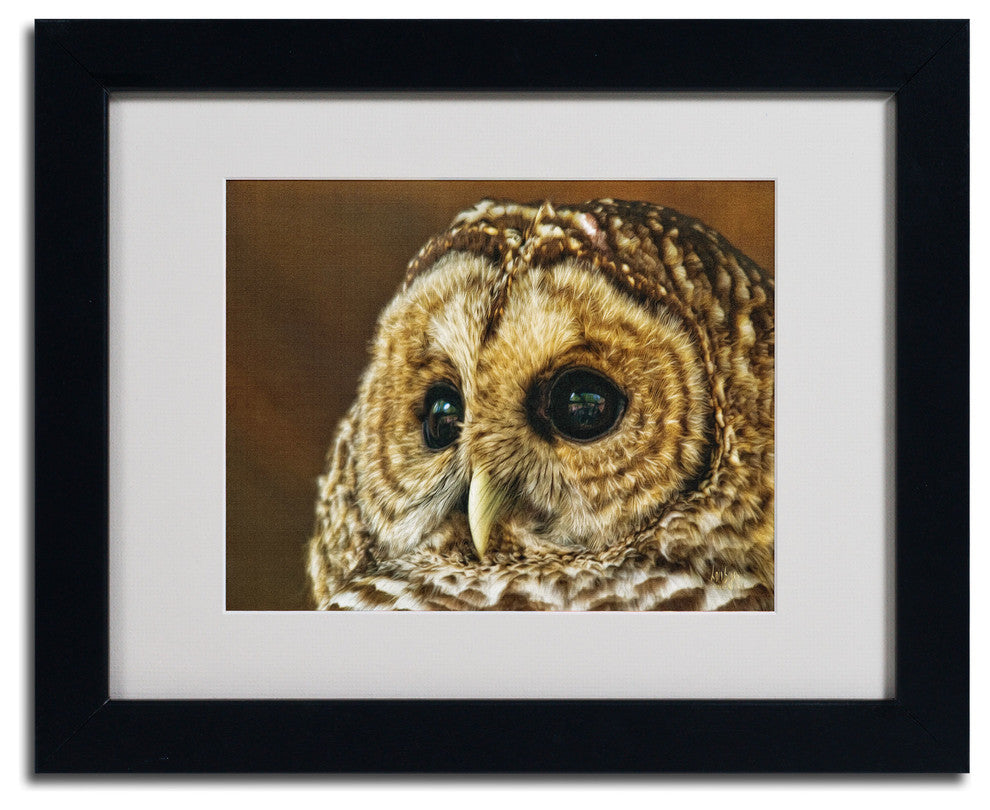 'Barred Owl Portrait' Matted Framed Canvas Art by Lois Bryan