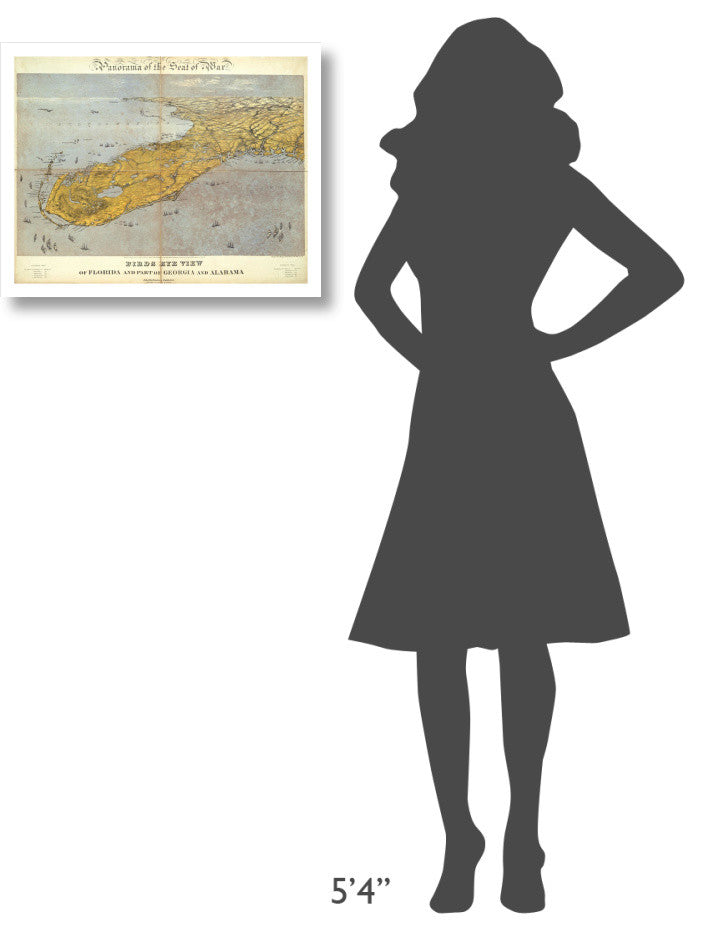 "Florida and Part of Georgia and Alabama, 1861" Print by John Bachmann, 24"x19"