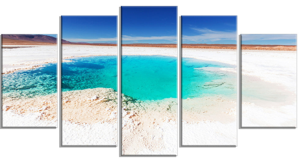 Beautiful Salinas Lake in Argentina, Landscape Canvas Art, 60"x32", 5 Panels