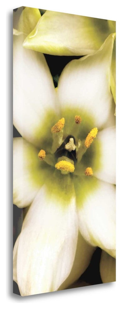 "Star Of Bethlehem Triptych" By Andrew Levine, Giclee on Gallery Wrap Canvas