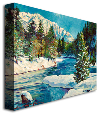 'Colorado Pines' Canvas Art by David Lloyd Glover