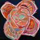 Marmont Hill, "Colorful Magnolia II" by Michelle Rivera on Wrapped Canvas, 24x24