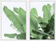 Palm Bay Diptych, 32x24