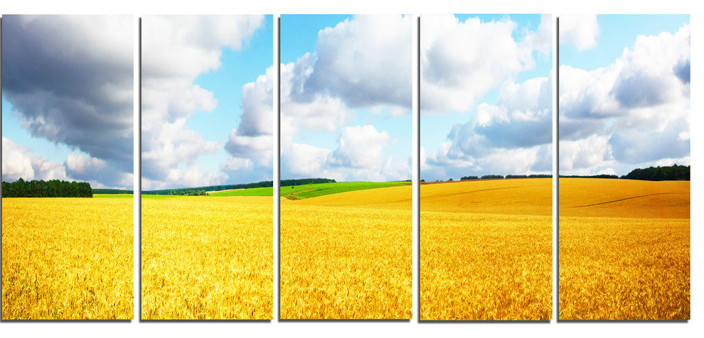 Beautiful Field Panorama, Landscape Canvas Art Print, 60"x28", 5 Panels