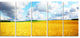 Beautiful Field Panorama, Landscape Canvas Art Print, 60"x28", 5 Panels