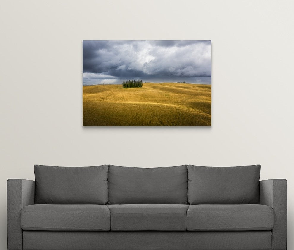 "Wheat And Cypresses In Tuscany" Wrapped Canvas Art Print, 48"x32"x1.5"