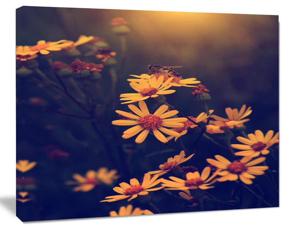Vintage White Wild Flowers and Bee, Large Floral Canvas Art Print, 60"x28"