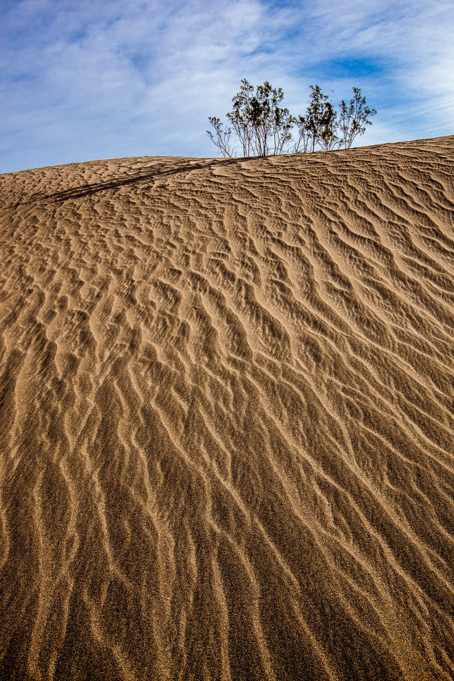 Sandscapes Designer Series No.28, 20"x30"