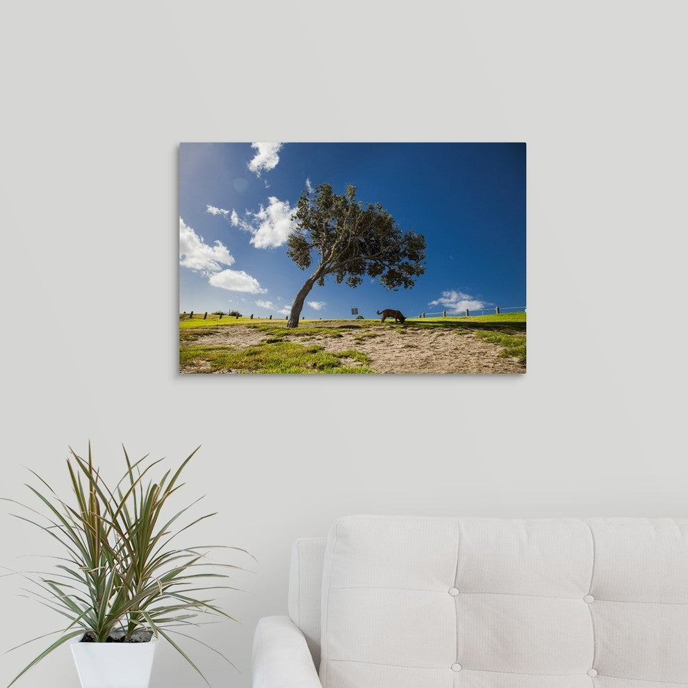 "Important Business" Wrapped Canvas Art Print, 24"x16"x1.5"