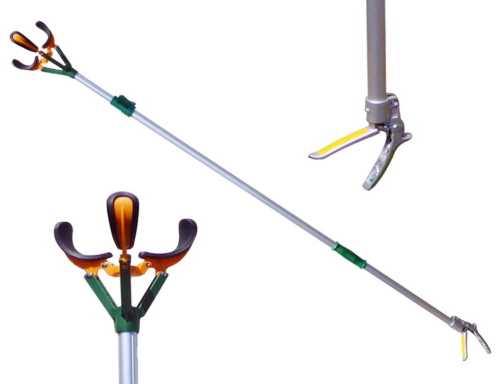 Long Reach Telescopic Fruit Harvester And Picker, 10' Extension