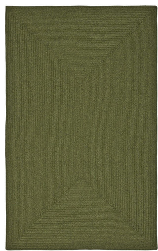 Safavieh Braided Brd315A Solid Color Rug, Green, 8'0"x10'0"