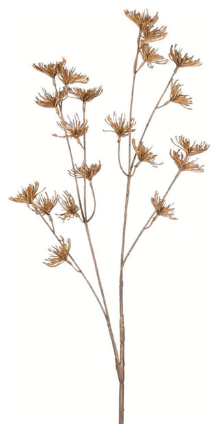 Vickerman 26" Beige Anne Lace Spray 4/Pk