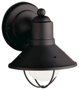 Outdoor Wall 1-Light, Black