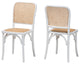 Ramonita Rattan 2-Piece Dining Chair Set
