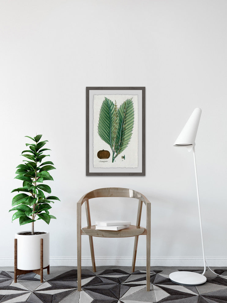 "Flore des Environs de Paris" Framed Painting Print, 16"x24"