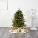 4' Vancouver Fir Natural Look Faux Xmas Tree W/Clear Lights & Bendable Branches