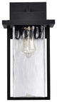 Vernal 1-Light Large Wall Lantern, Matte Black/Clear Water Glass