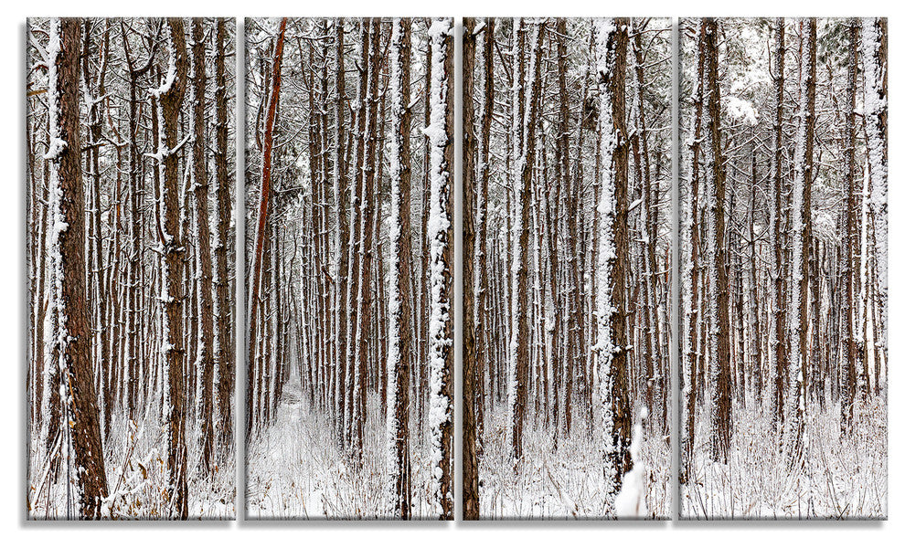 Dense Pine Forest in Winter, Landscape Canvas Art Print, 48"x28", 4 Panels