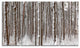 Dense Pine Forest in Winter, Landscape Canvas Art Print, 48"x28", 4 Panels