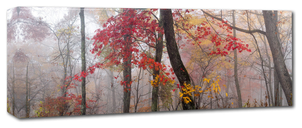 Doug Cavanah 'Garnet And Gold' Canvas Art, 10x32