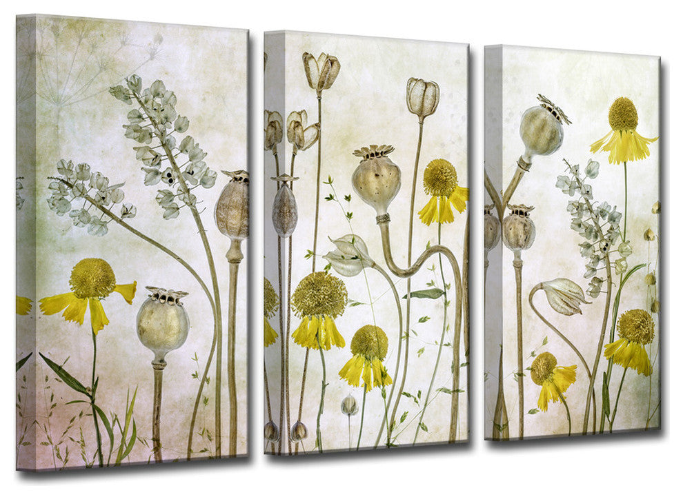 Ready2HangArt 'Poppies and Helenium' 3-Piece Canvas Wall Decor Set, 60"x40"