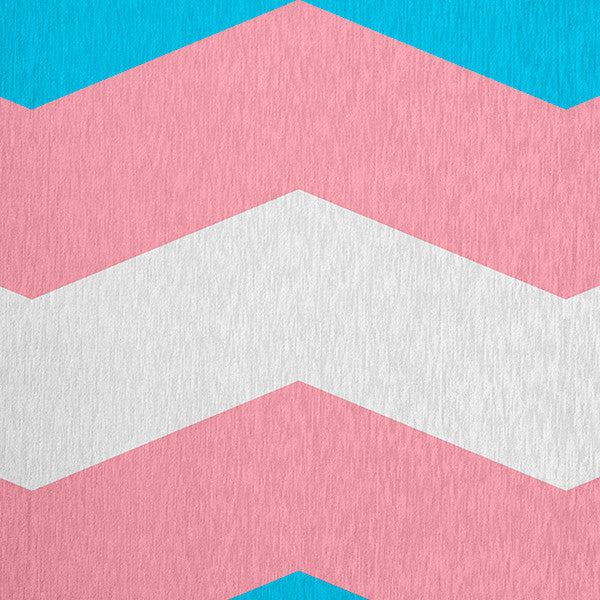 Transgender Chevron Chenille Rug, Transgender Chevron, 5'x7'