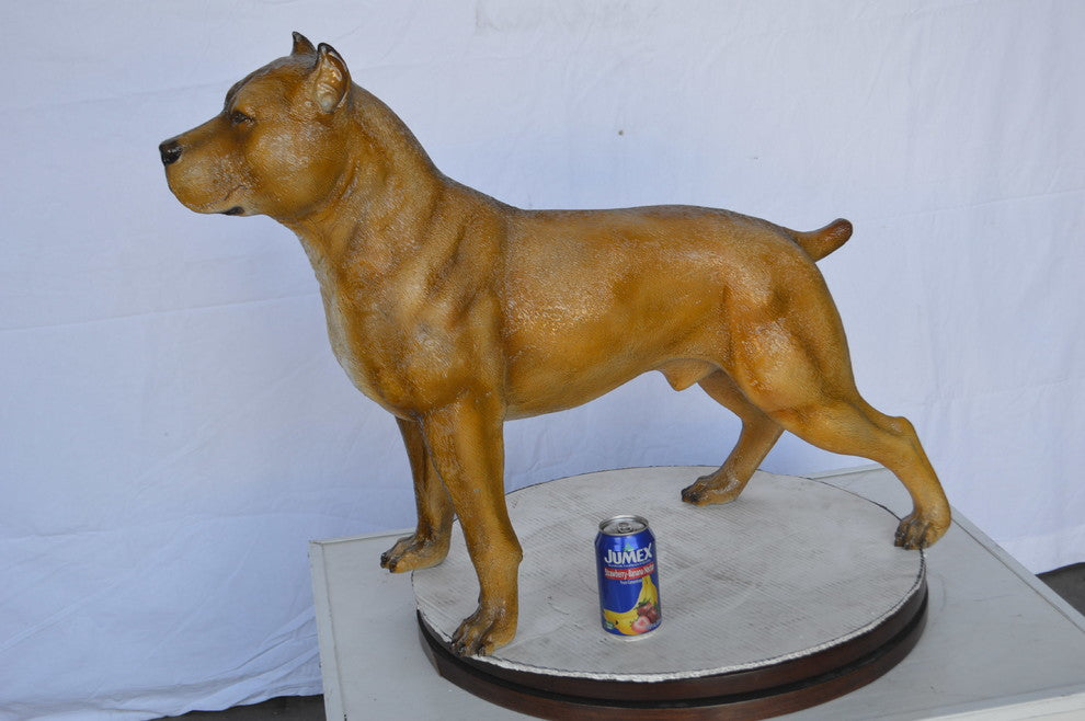 Pitbull Dog Colored Bronze Statue -  Size: 33"L x 10"W x 26"H.