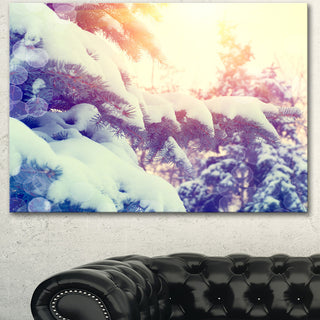 Winter Pine Trees in Mountains, Large Landscape Canvas Art, 60"x28"