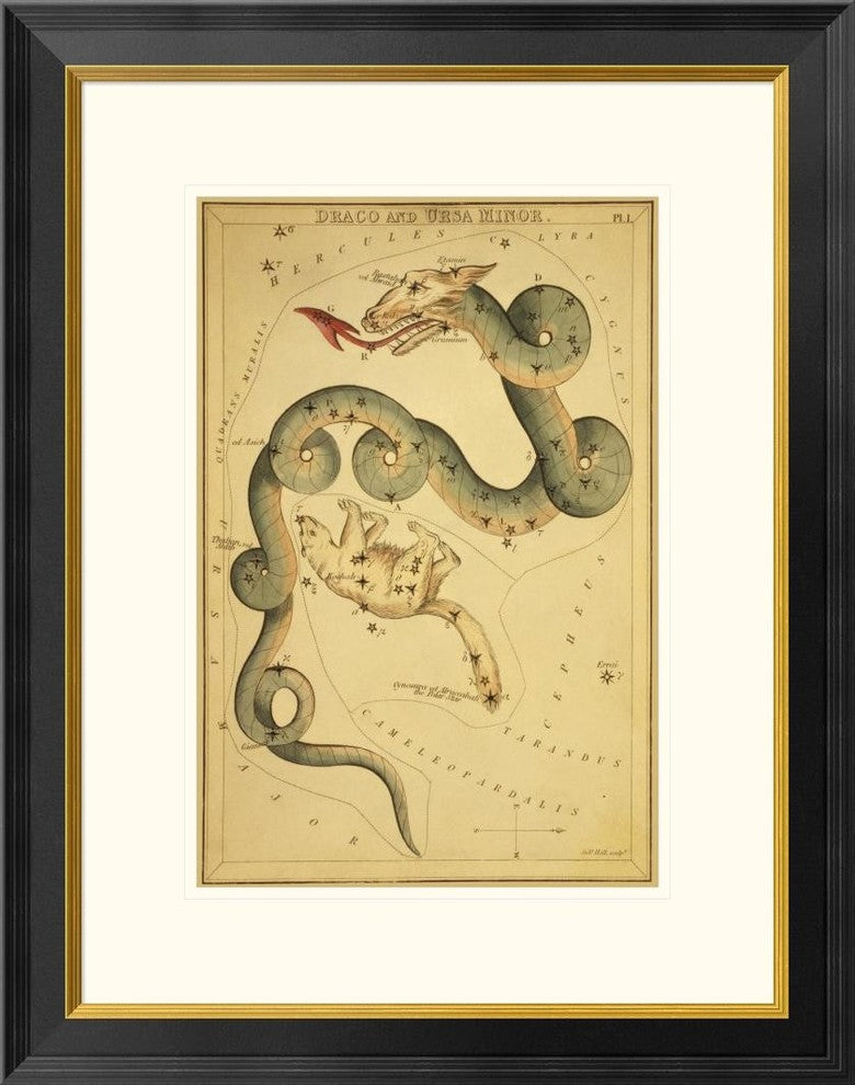 "Draco and Ursa Minor, 1825" Framed Digital Print by Jehoshaphat Aspin, 22x28"