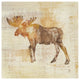 "Moose Study" Digital Paper Print by Studio Mousseau, 20"x20"