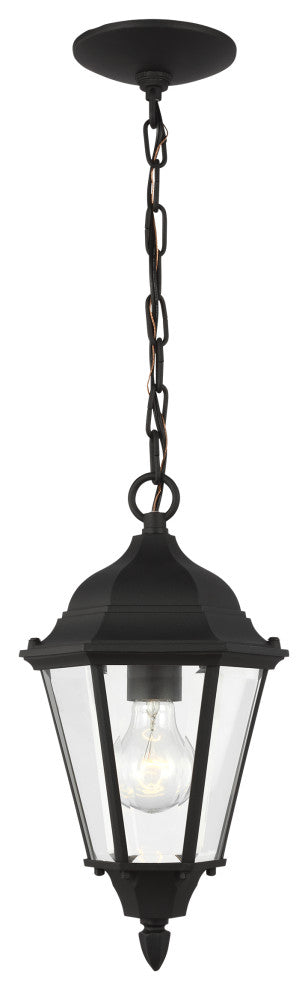 Bakersville 1-Light Outdoor Pendant, Black