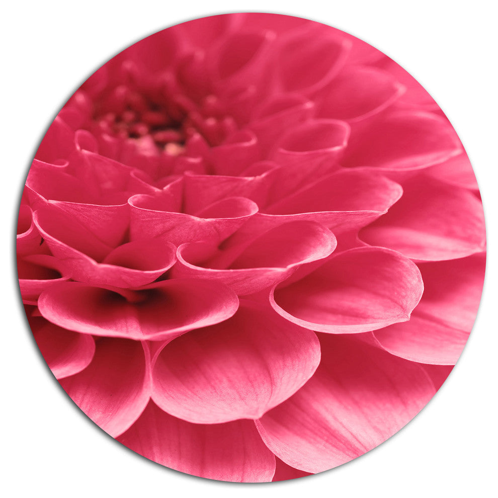 Soft Rose Abstract Flower Petals, Modern Floral Disc Metal Artwork, 11"