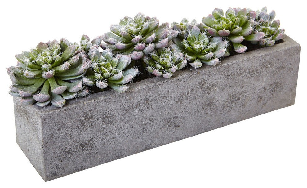 Succulent Garden With Textured Concrete Planter