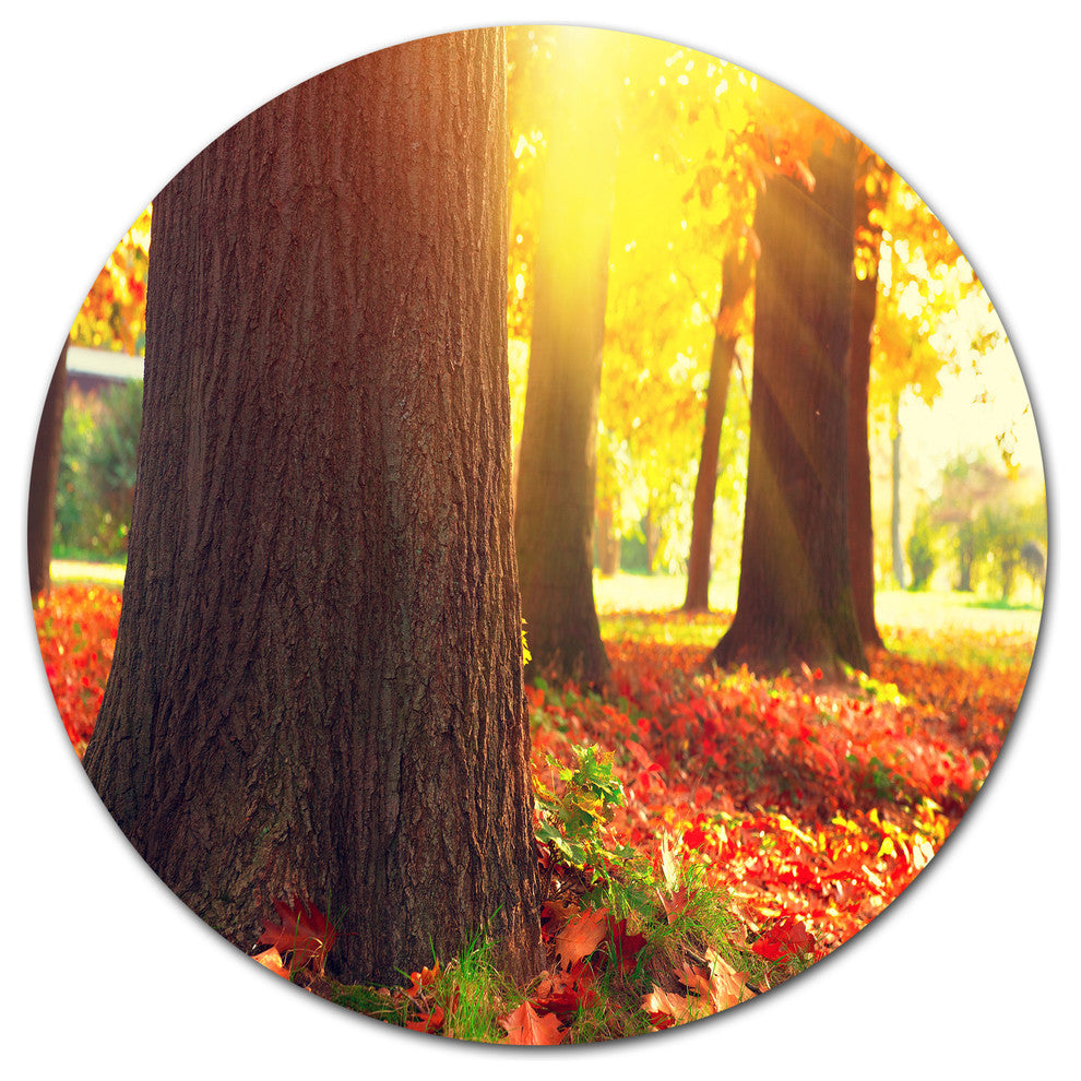 Autumn Trees In The Sunlight, Landscape Wall Disc Metal Wall Art, 38"