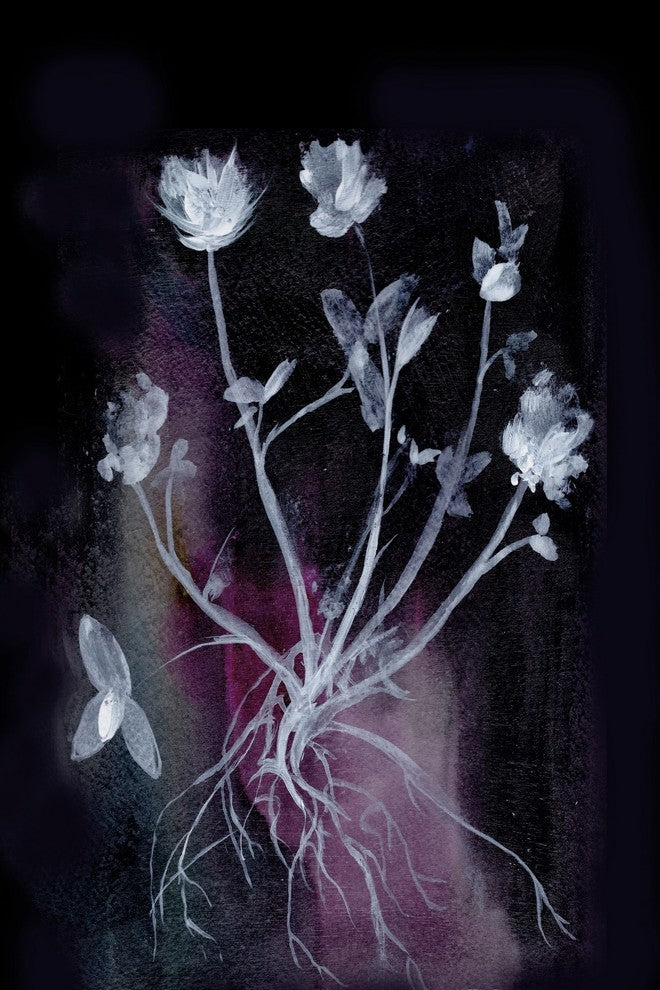 Marmont Hill, "Dark Garden" by Christine Lindstrom on Wrapped Canvas, 16x24