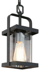 Modern Lantern Outdoor Pendant Light with Clear Glass Shade