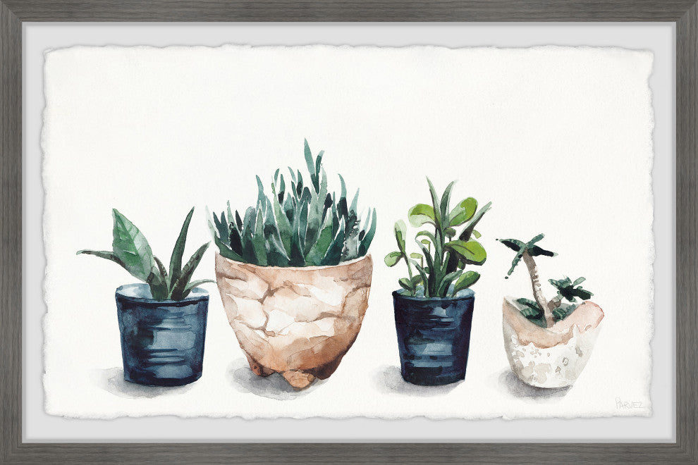 "Multi Colored Planters" Framed Painting Print