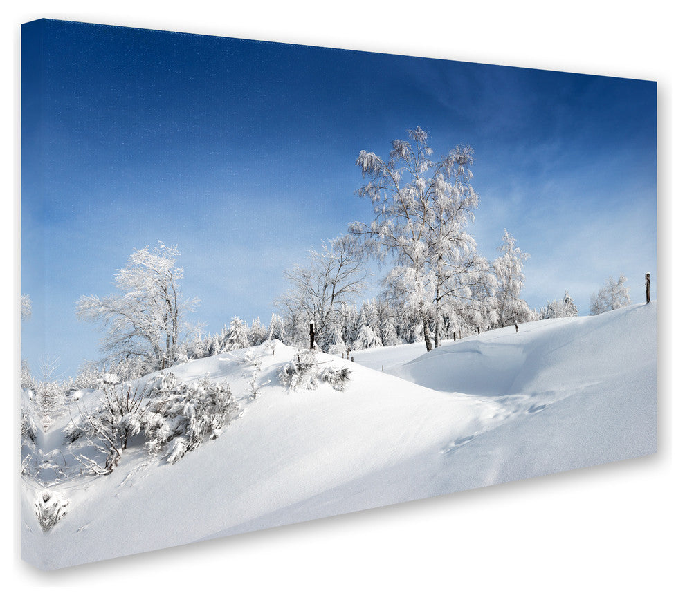 Philippe Sainte-Laudy ''Dressed For Winter'' Canvas Art, 12x19